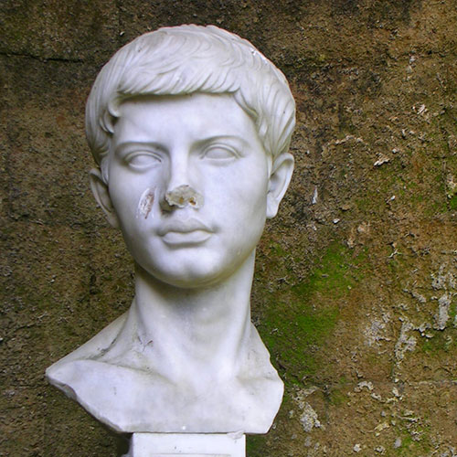 Vitam ... per artes